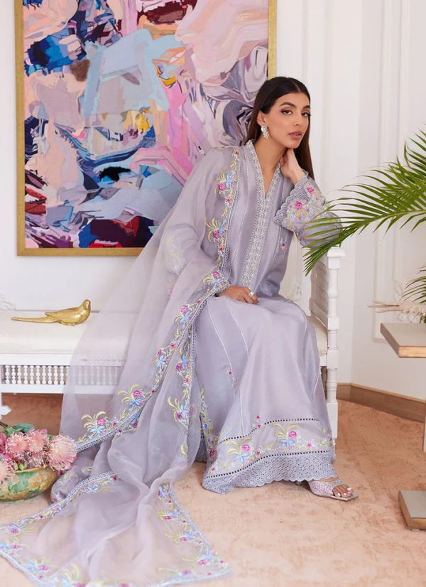 Luna Eid 24 - Odette Silver Grey Embroidered Raw Silk Kalidar With Dupatta For Cheap