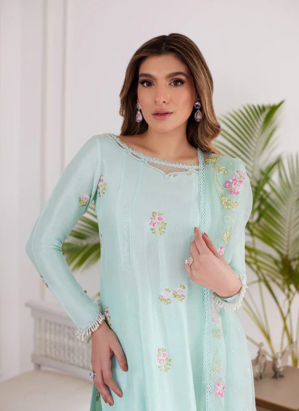 Luna Eid 24 - Elyssia Mint Embroidered Raw Silk Kalidar With Dupatta For Discount