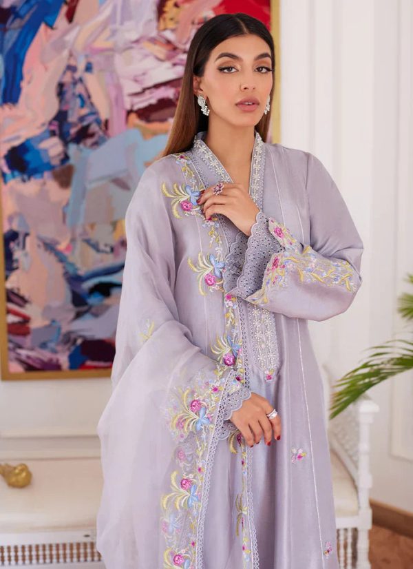 Luna Eid 24 - Odette Silver Grey Embroidered Raw Silk Kalidar With Dupatta For Cheap