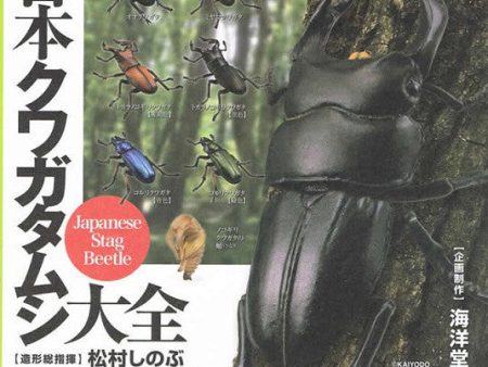 Kaiyodo Capsule Q Museum Gashapon Japanese Stag Beetle 7 Mini Trading Figure Set Sale