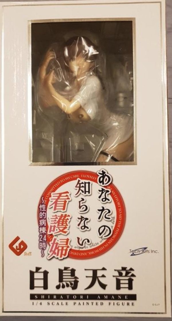 Freeing 1 4 The Nurse You Don t Know Shiratori Amane Pvc Figure Cheap